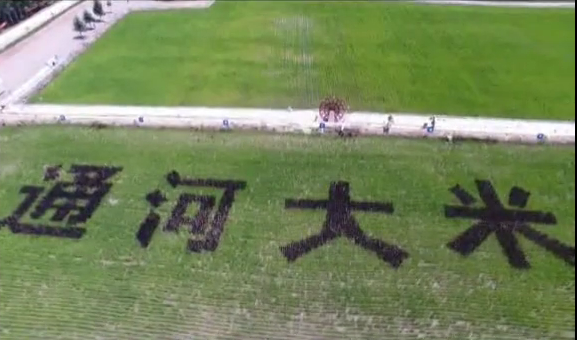 微信图片_20200720143823