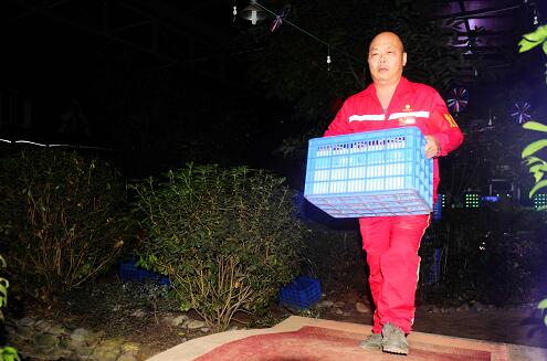 1605501617209543.jpg 11.jpg