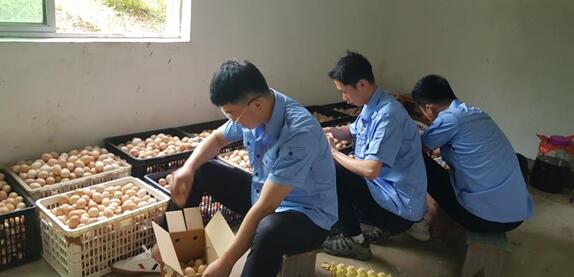 1624587142367487.jpg 2.jpg