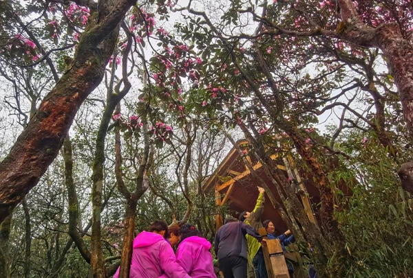 1624843057438419.jpg 6.jpg