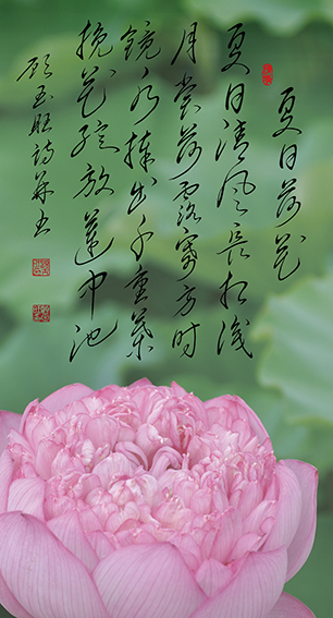 顾玉旺作品《夏日荷花》 夏日清风长相识，月赏荷露寄方时。 镜水捧出千重叶， 挽花绽放莲中池。.jpg