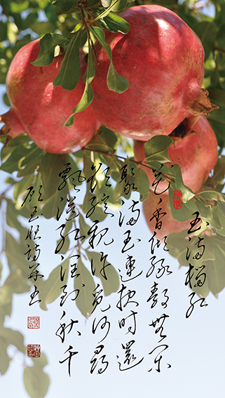 顾玉旺作品《玉满榴红》花香倾绿静无闲，聚满玉连报时还。欲绽亲许觅何寻，飘溢红润到秋千。.jpg