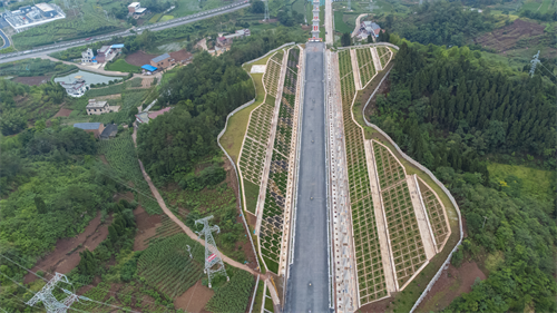 1689233531937989.png 图片2.png