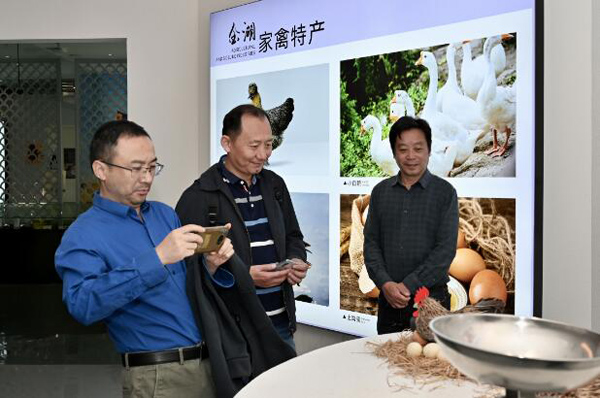 1698111275601498.jpg 6.jpg