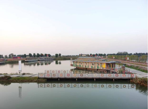 1698111298541813.jpg 8.jpg