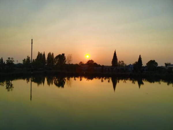 1698111308984636.jpg 9.jpg