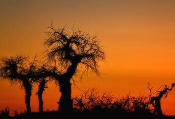 1701228356399911.jpg 3.jpg