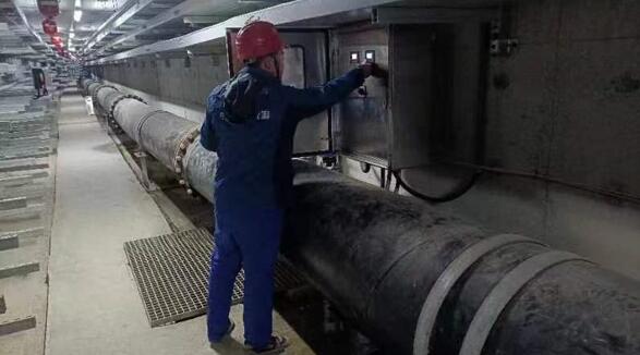 1708057059457711.jpg 3.jpg