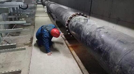 1708057076493157.jpg 4.jpg