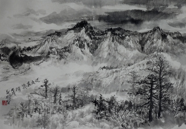 1711853561226406.jpg 9.jpg