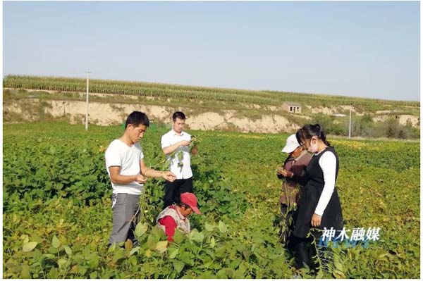 1715412707788187.jpg 2.jpg