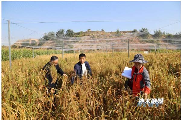 1715412722643227.jpg 3.jpg