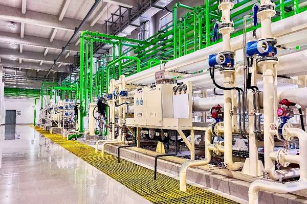 1742179528448779.jpg 2.jpg