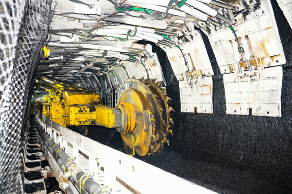 1764039535925546.jpg 5.jpg