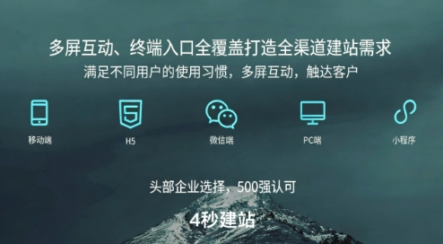 1768979333929781.jpg 5.jpg