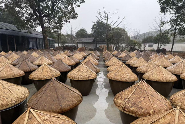 1773824412287740.jpg 2.jpg