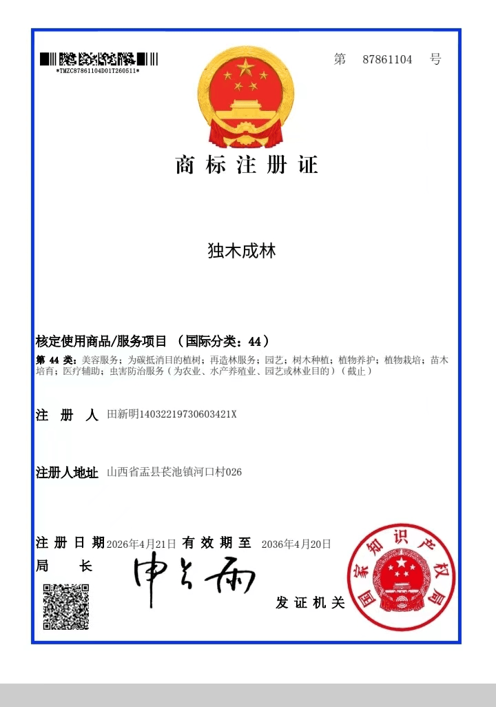 文章配图-1